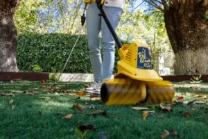 Mujer limpiando y peinando cesped artificial con Roll&Comb 141E